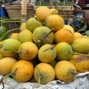Himsagor-হিমসাগর
