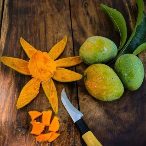 Gopalvogh-গোপালভোগ