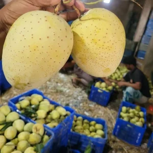 Gormoti-গৈাড়মতি