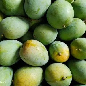 Langra-ল্যাংড়া